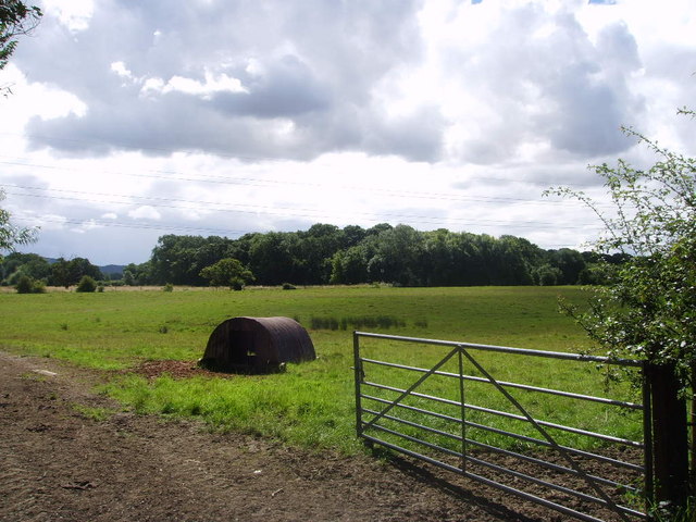 File:Cheshire Coppice - geograph.org.uk - 517182.jpg