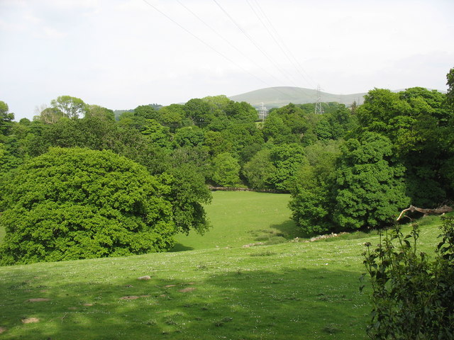 File:Coed Cochwillan Woodland and Afon Ogwen from the disused section of the A5 - geograph.org.uk - 814516.jpg