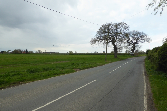 File:Dauby Lane approaches the A1079 - geograph.org.uk - 5356628.jpg