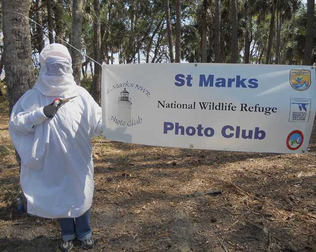 File:Endangered Whooping Crane Costume With St Marks NWR Photo Club Sign On St Vincent During Open House By Teresa Darragh.jpg