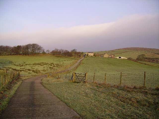 File:Farm Track Saddle End - geograph.org.uk - 120883.jpg