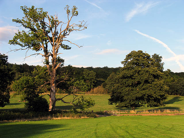 Farmland at Mapledurham - geograph.org.uk - 241681