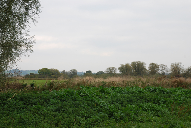 File:Farmland behind Henstridge Trading Estate - geograph.org.uk - 577918.jpg