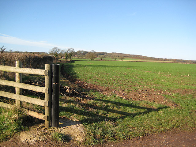 File:Field edge near Upleadon Court - geograph.org.uk - 679541.jpg