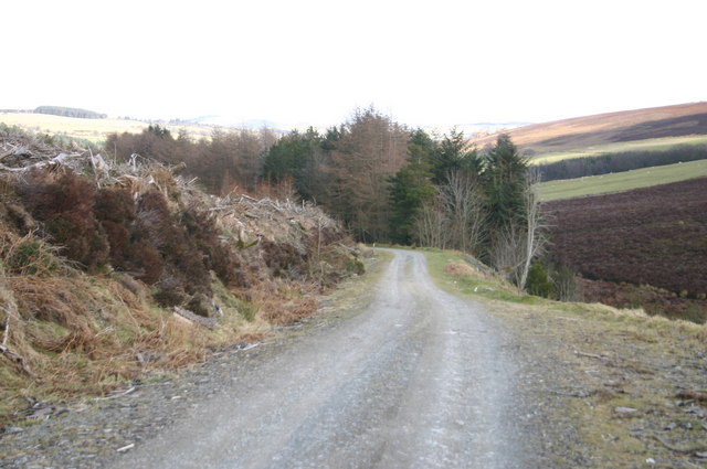 File:Forest Drive - geograph.org.uk - 844400.jpg