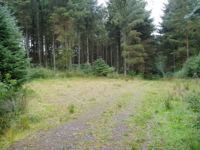 File:Forestry clearing - geograph.org.uk - 218880.jpg