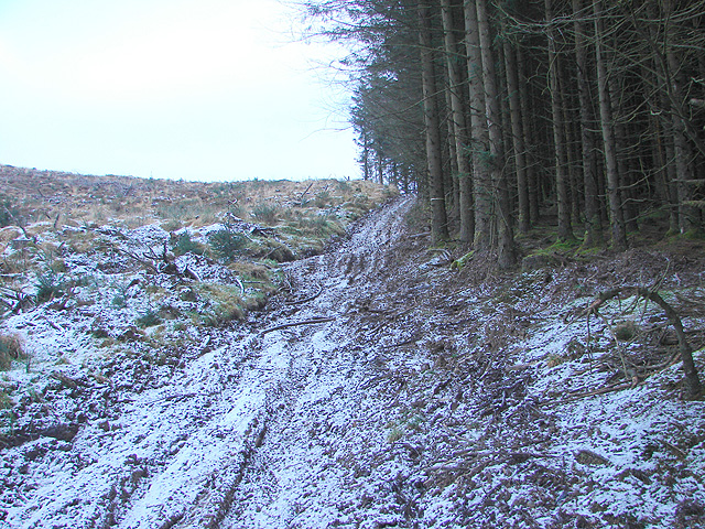 File:Forestry track - geograph.org.uk - 1113881.jpg