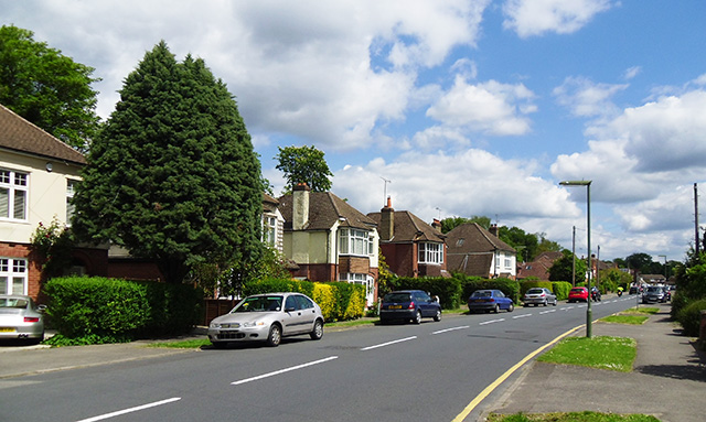 File:Frimley Grove Gardens, Frimley - geograph.org.uk - 3979785.jpg