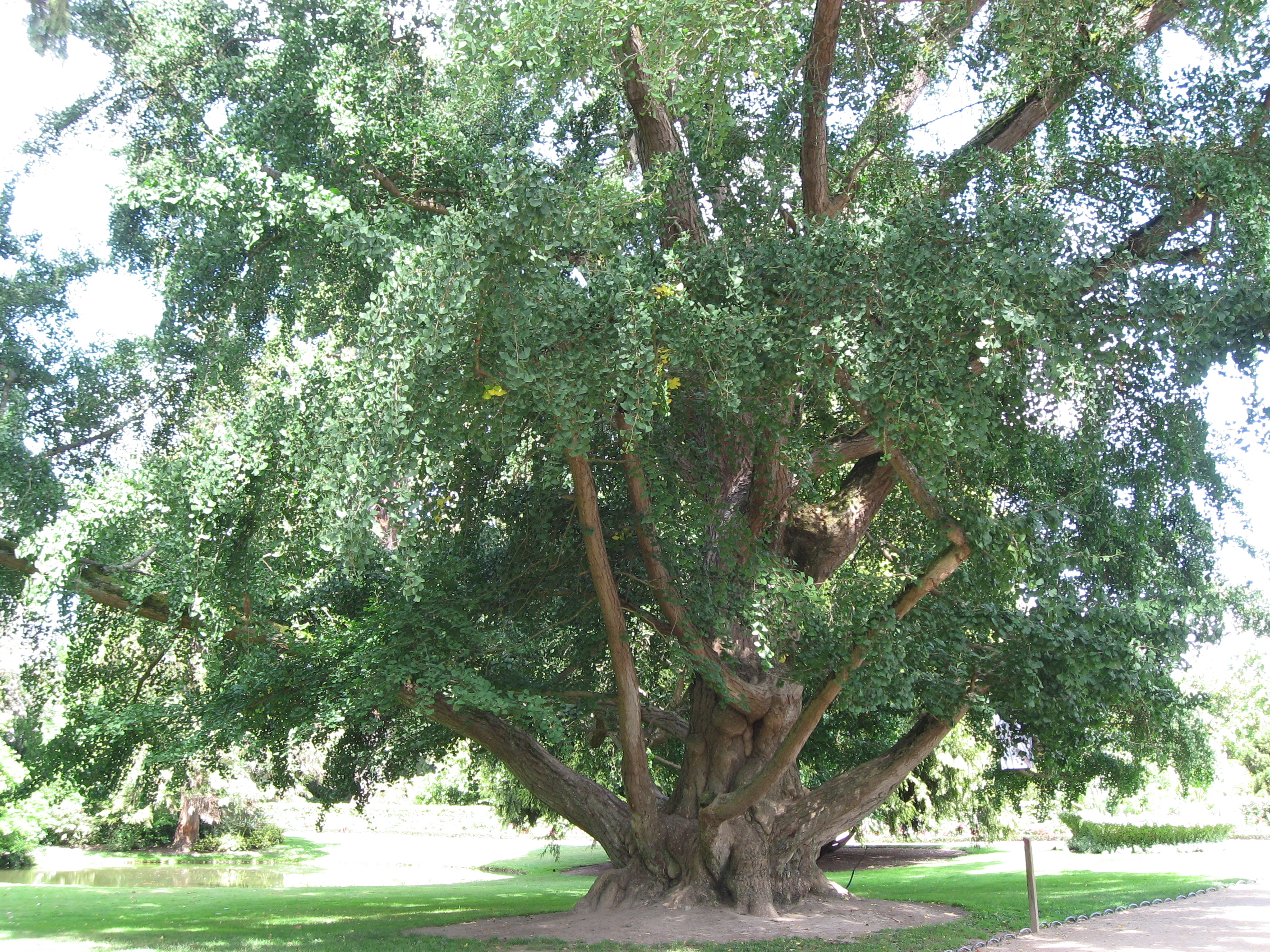 Tourbe - Jardins de France