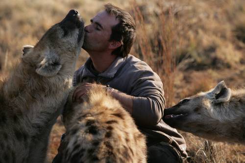 File:Kevin Richardson with hyenas.jpg