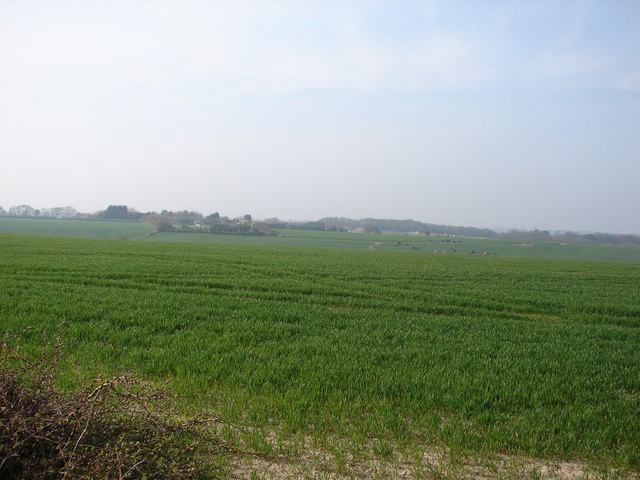 File:Looking towards River Minnis and Loganberry Farm - geograph.org.uk - 399888.jpg