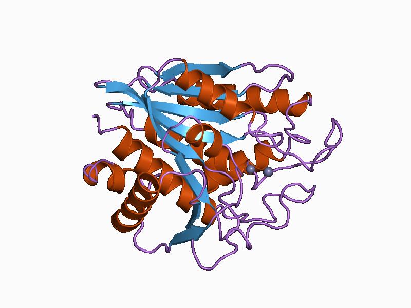 File:PDB 1amp EBI.jpg