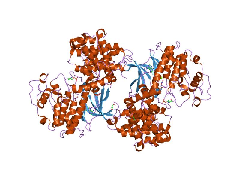 File:PDB 1gy3 EBI.jpg