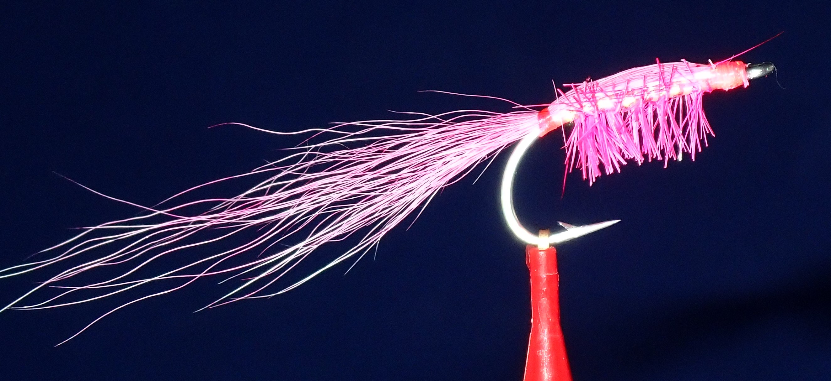 File:Pink Shrimp Bonefish fly.jpg - Wikipedia