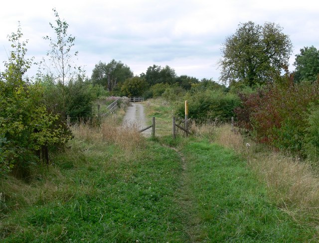 File:Public footpath through Grange Wood - geograph.org.uk - 542441.jpg