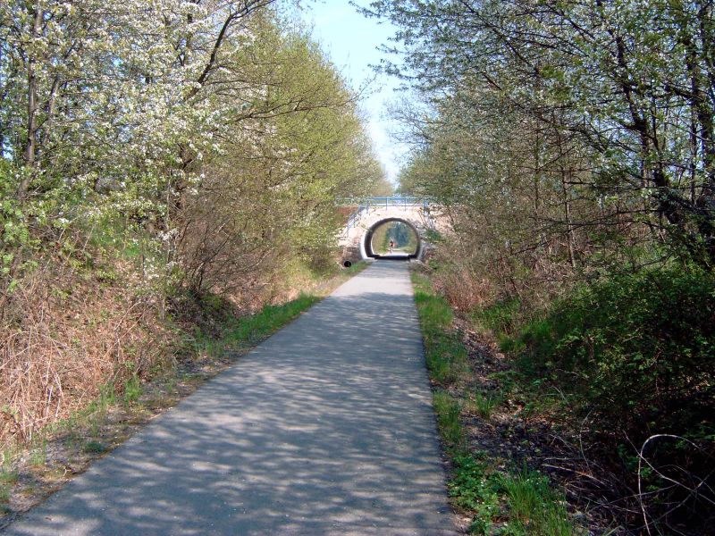 File:Radweg bei Hasselbach.jpg