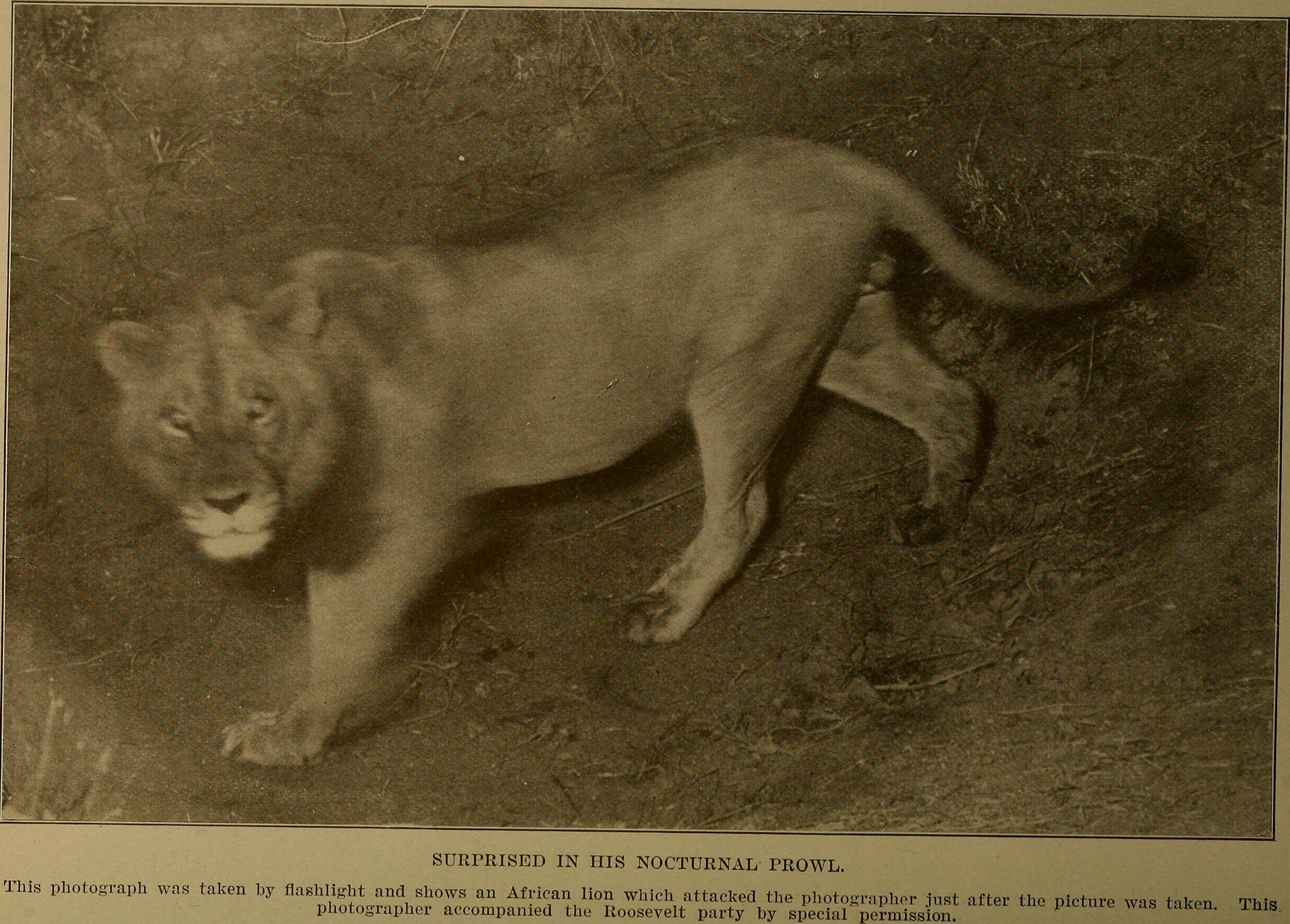 File:Roosevelt's African trip; the story of his life, the voyage from New  York to Mombasa,