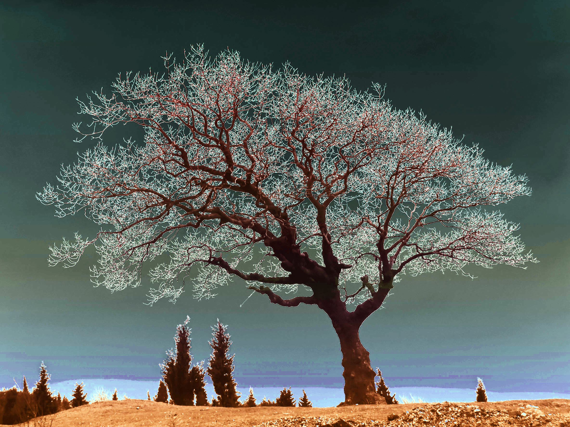 file-spiritual-tree-dsc06786-duo-nevit-jpg-wikipedia