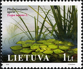 File:Stamps of Lithuania, 2005-22.jpg