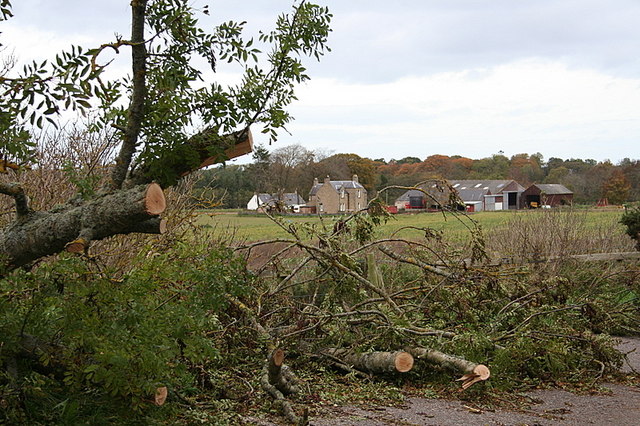 File:Storm-felled roadside timbers with Banarach Farm in view. - geograph.org.uk - 273115.jpg