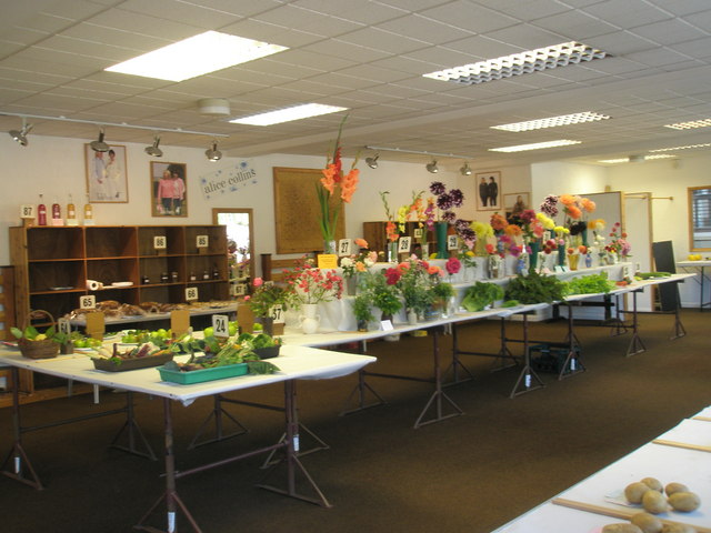 File:Superb display of produce at Dunster Flower Show - geograph.org.uk - 925867.jpg