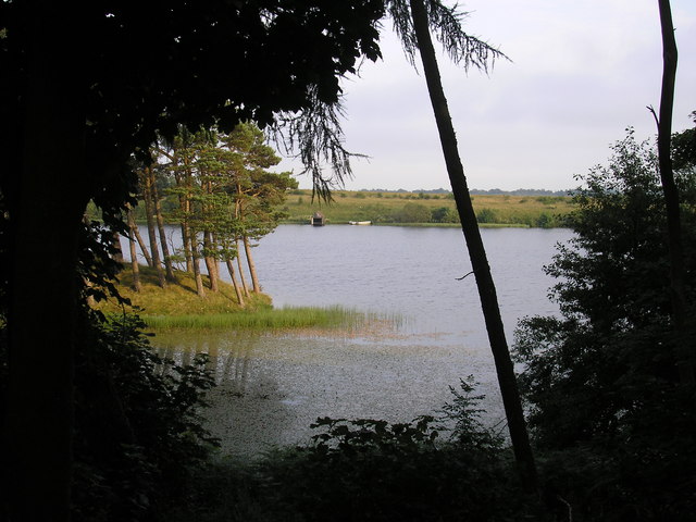 File:The Boathouse from the Wood, Lindean Reservoir - geograph.org.uk - 906090.jpg