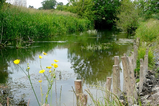 File:The Holy Brook near Coley.jpg