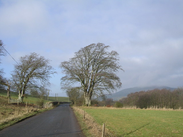 File:The Road to Ae - geograph.org.uk - 118200.jpg