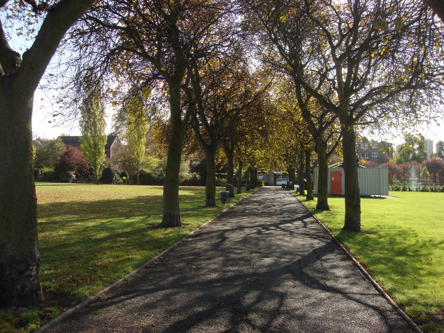 File:Tree lined avenue, Kensington Memorial Park - geograph.org.uk - 1018671.jpg