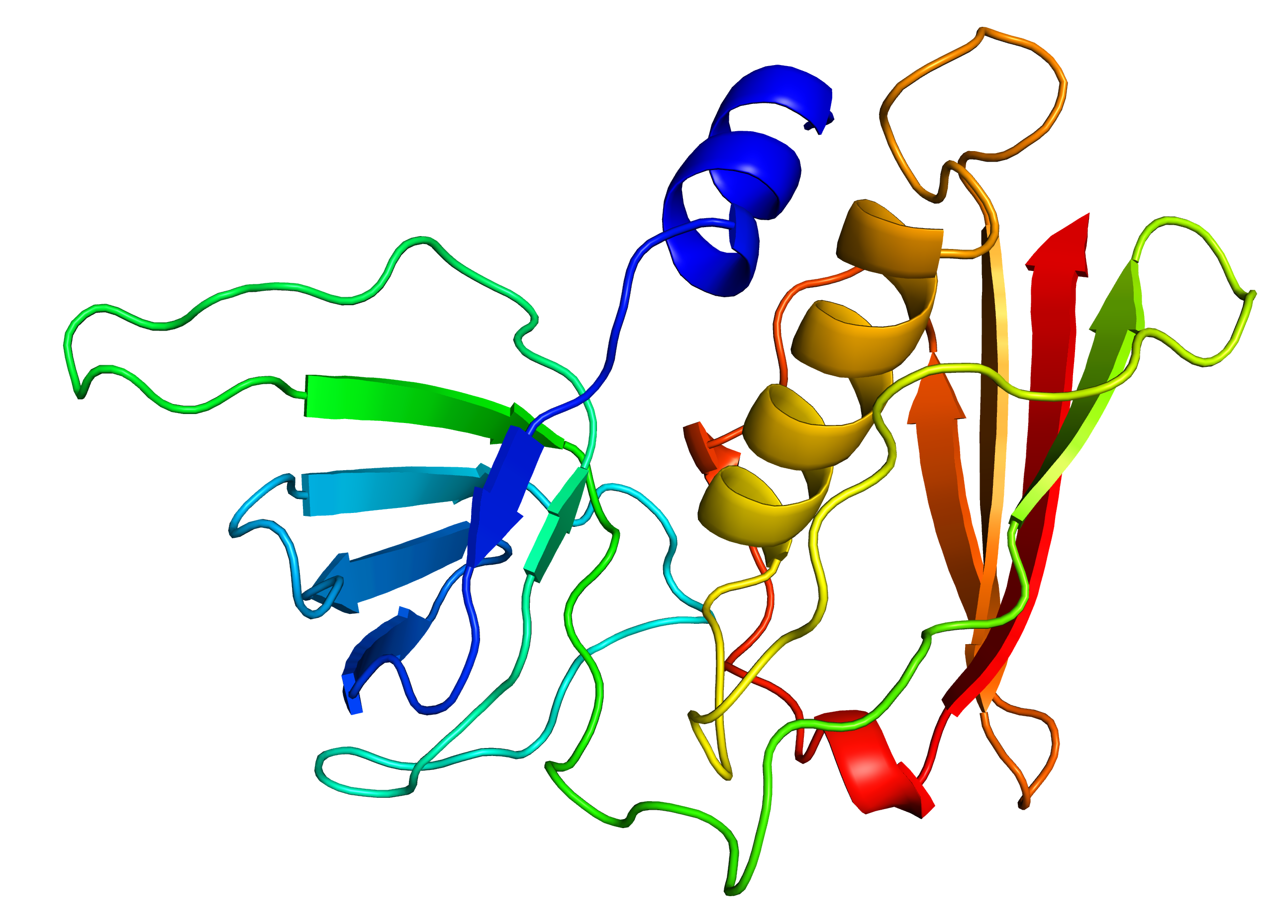 toxic shock syndrome pathogenesis