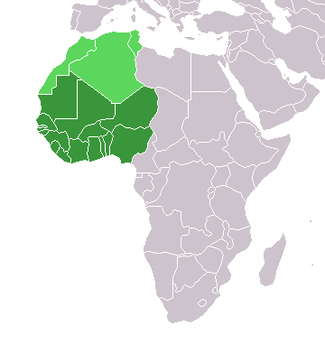 Map of Africa with the western countries highlighted