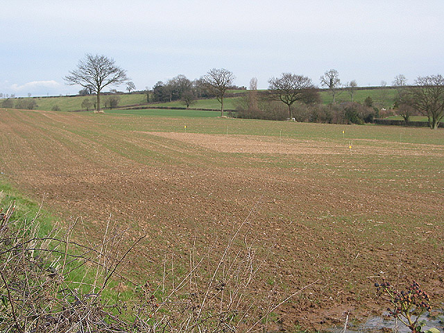 File:Arable land near Lyne Down - geograph.org.uk - 707179.jpg