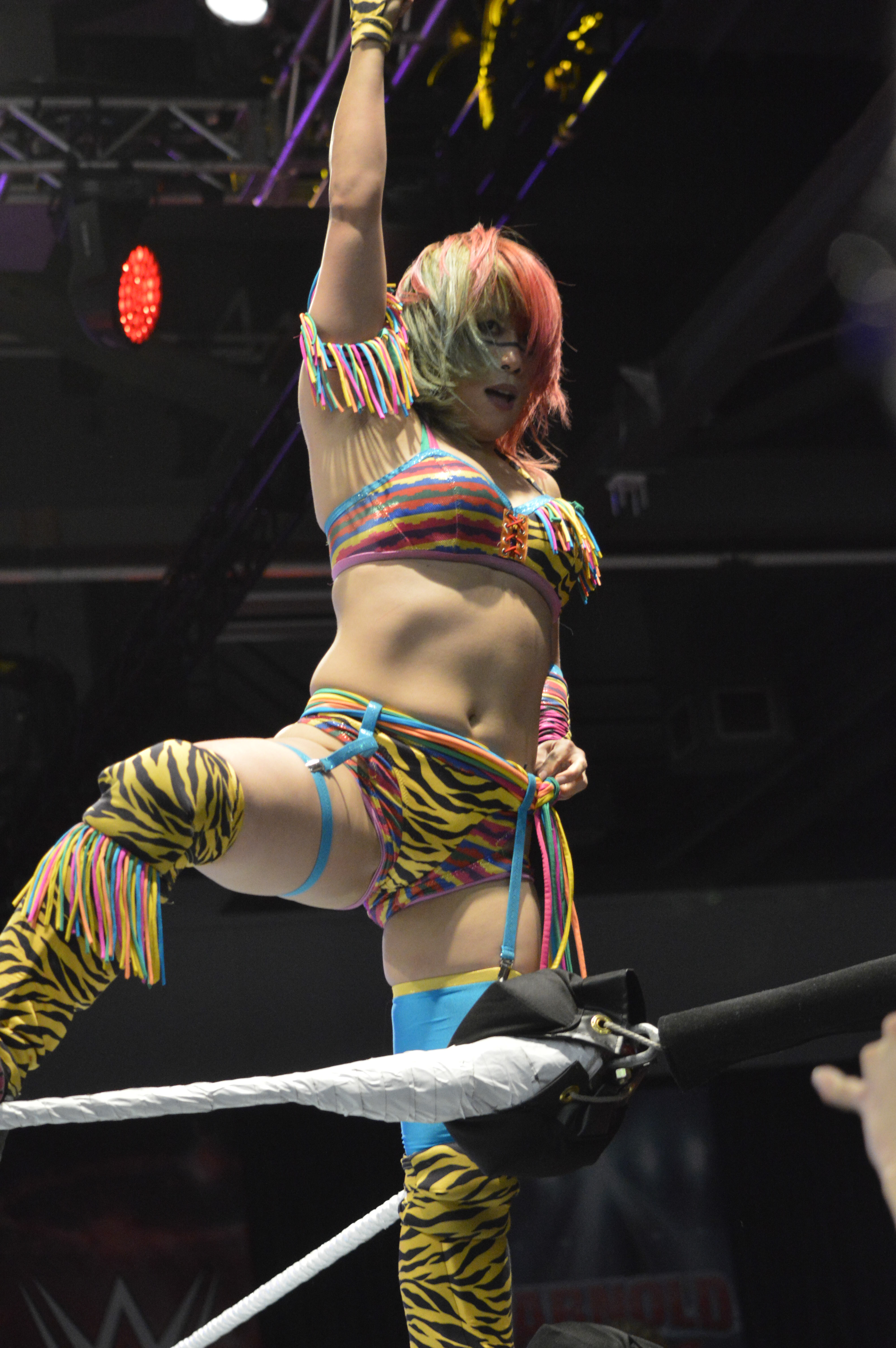 Battle Queens Vol. 66 - 'Bash Show/ Queen of the Ring 2016' Asuka_WWE