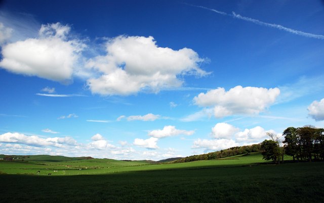 File:Blue skies - geograph.org.uk - 433316.jpg