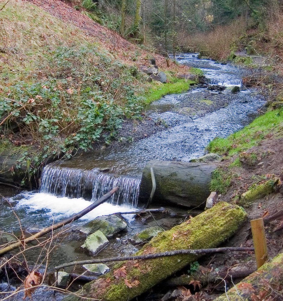 Photo of Boeing Creek