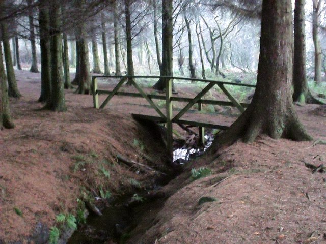 Bridge in the woods, Palacerigg Country Park - geograph.org.uk - 1618157