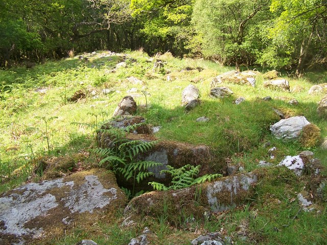 File:Bute, Chambered Cairn - geograph.org.uk - 182554.jpg