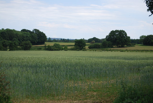 File:Cereals near Charcott - geograph.org.uk - 4204829.jpg