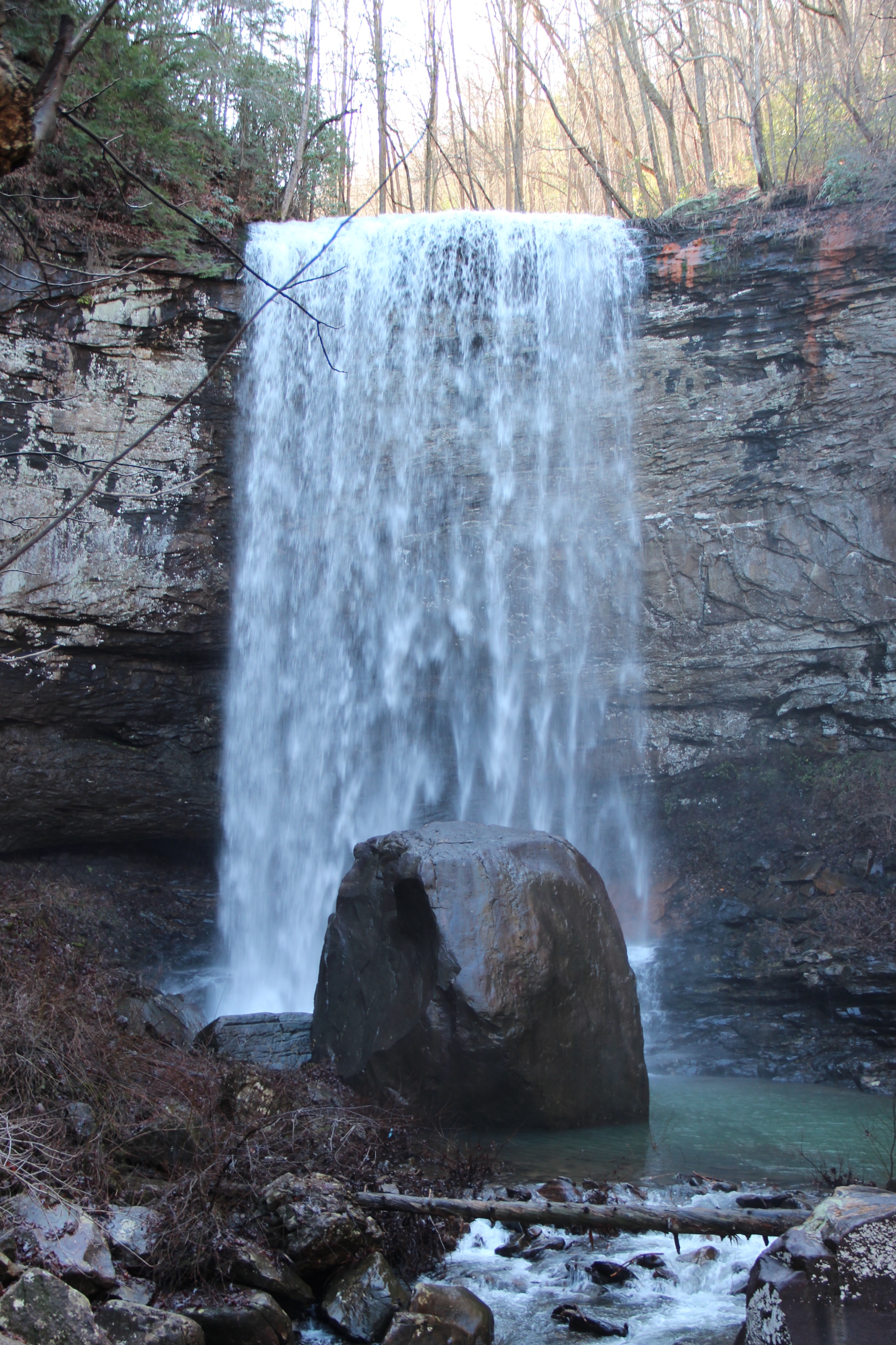 Journey to the Bottom of the Canyon