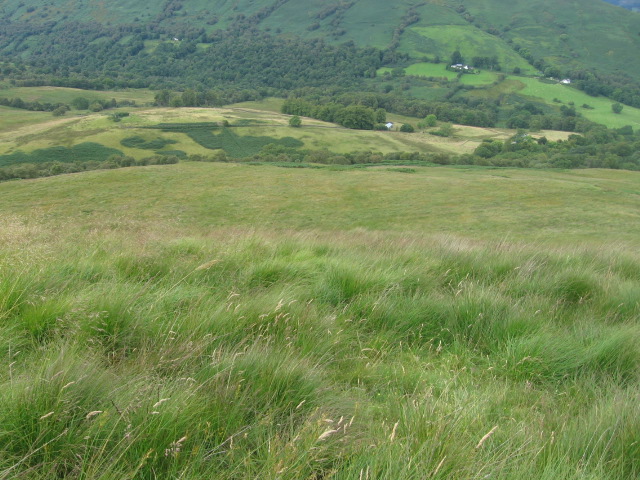 File:Cruach Dhubh hillside - geograph.org.uk - 521749.jpg