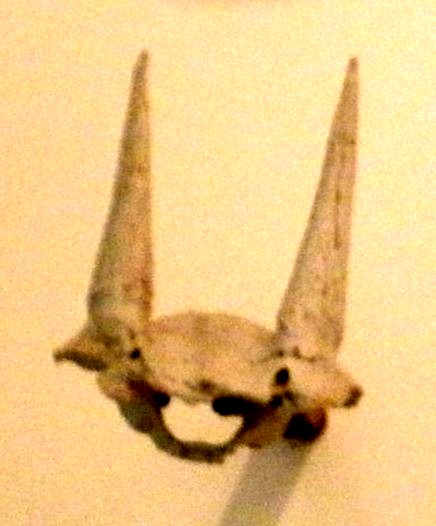 Skull of Eotragus sansaniensis, a species of the ancient bovid genus Eotragus