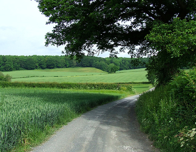 File:Farmers' Road through Fields, Shropshire - geograph.org.uk - 456379.jpg