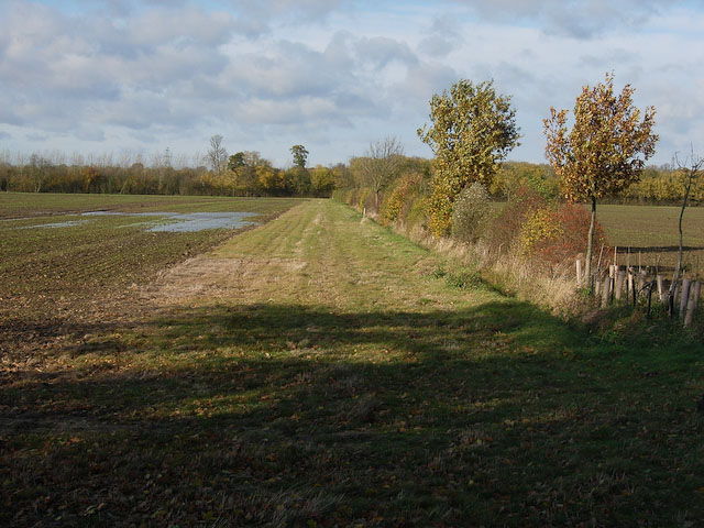 File:Field boundary - geograph.org.uk - 1043170.jpg