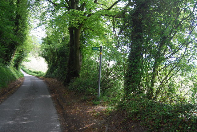 File:Footpath off Pilgrims' Way - geograph.org.uk - 3540257.jpg