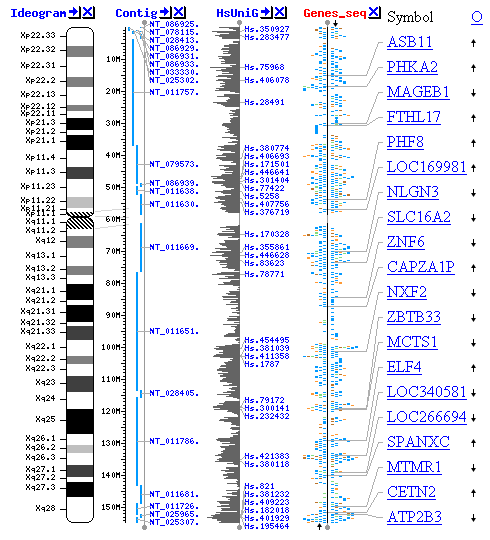 Bioinformatics-avatar