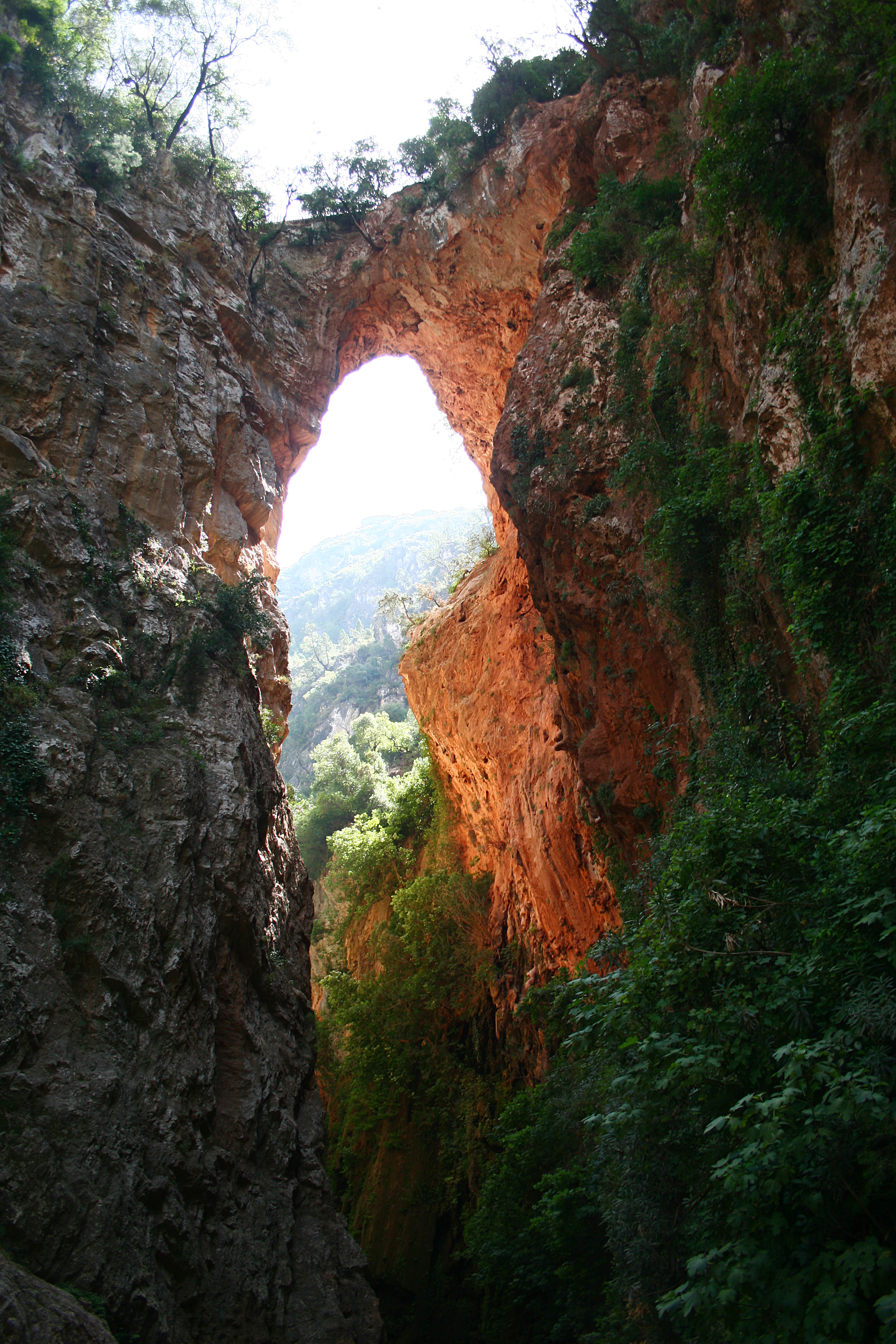 File:Bridge of Gardens SCP (20140123-0167).JPG - Wikimedia Commons