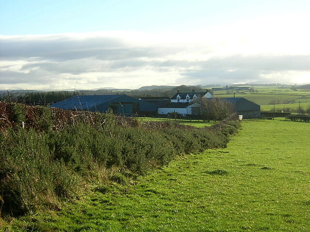 File:Gorse and Hawthorn Hedge at East Mosside - geograph.org.uk - 291173.jpg