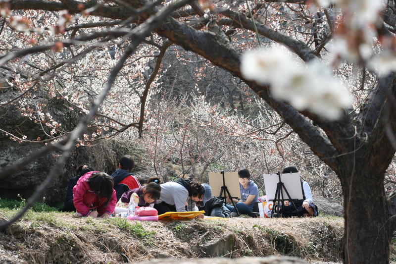 File:Gwangyang Maehwa Festival in Spring.jpg