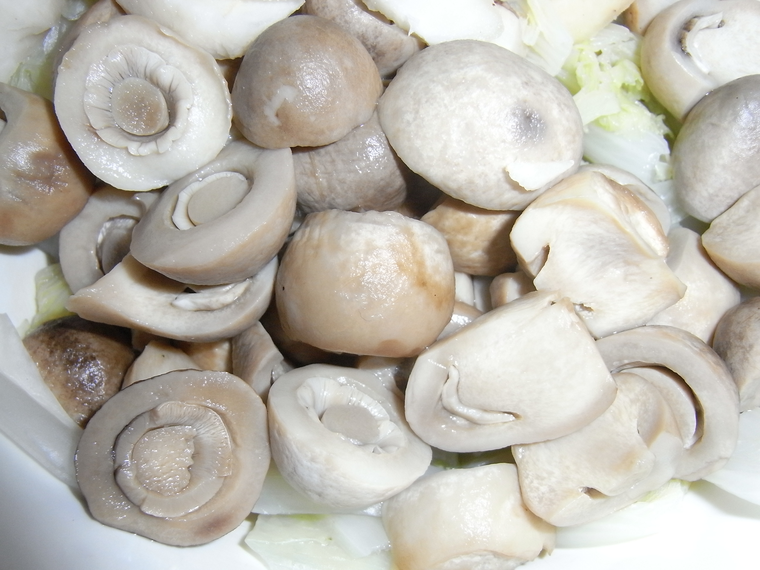 Straw mushroom (Volvariella volvacea) Stock Photo