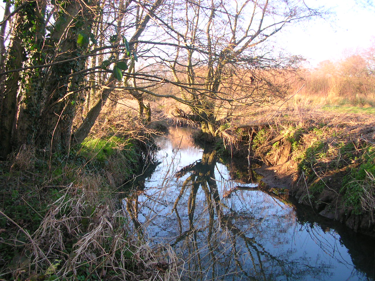 Petworth Canal